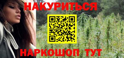 гидра Моздок