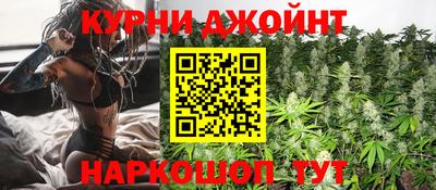 гидра Моздок